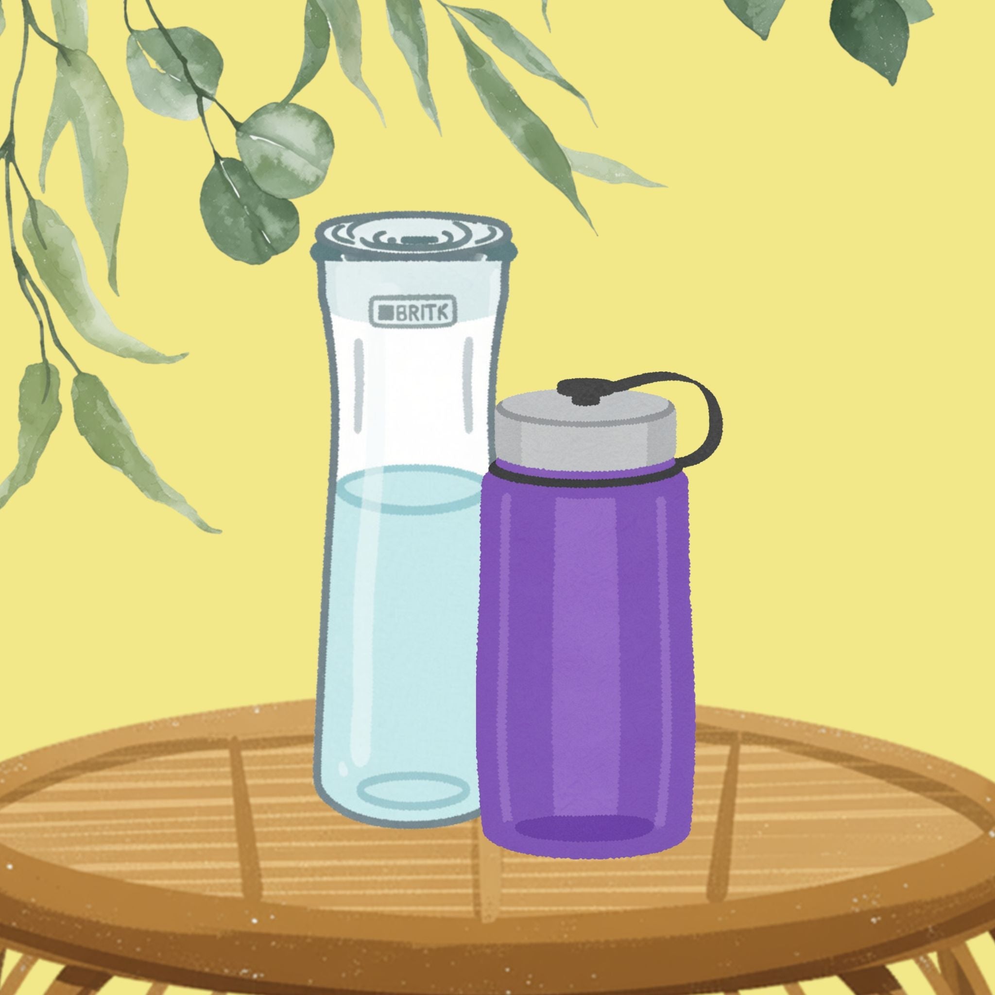 Water Purity