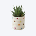 AAHA Fair Trade Felt Plant Pot