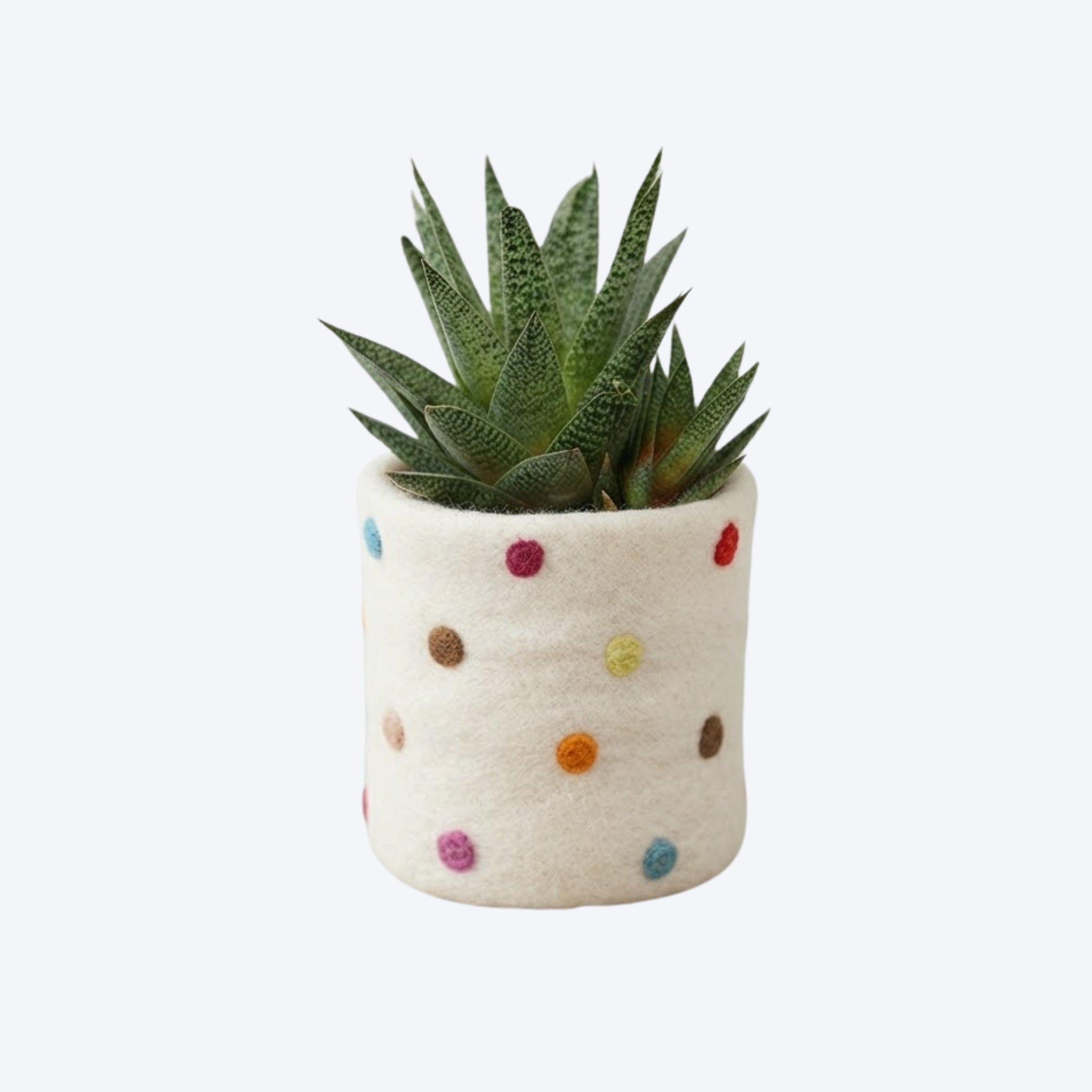 AAHA Fair Trade Felt Plant Pot