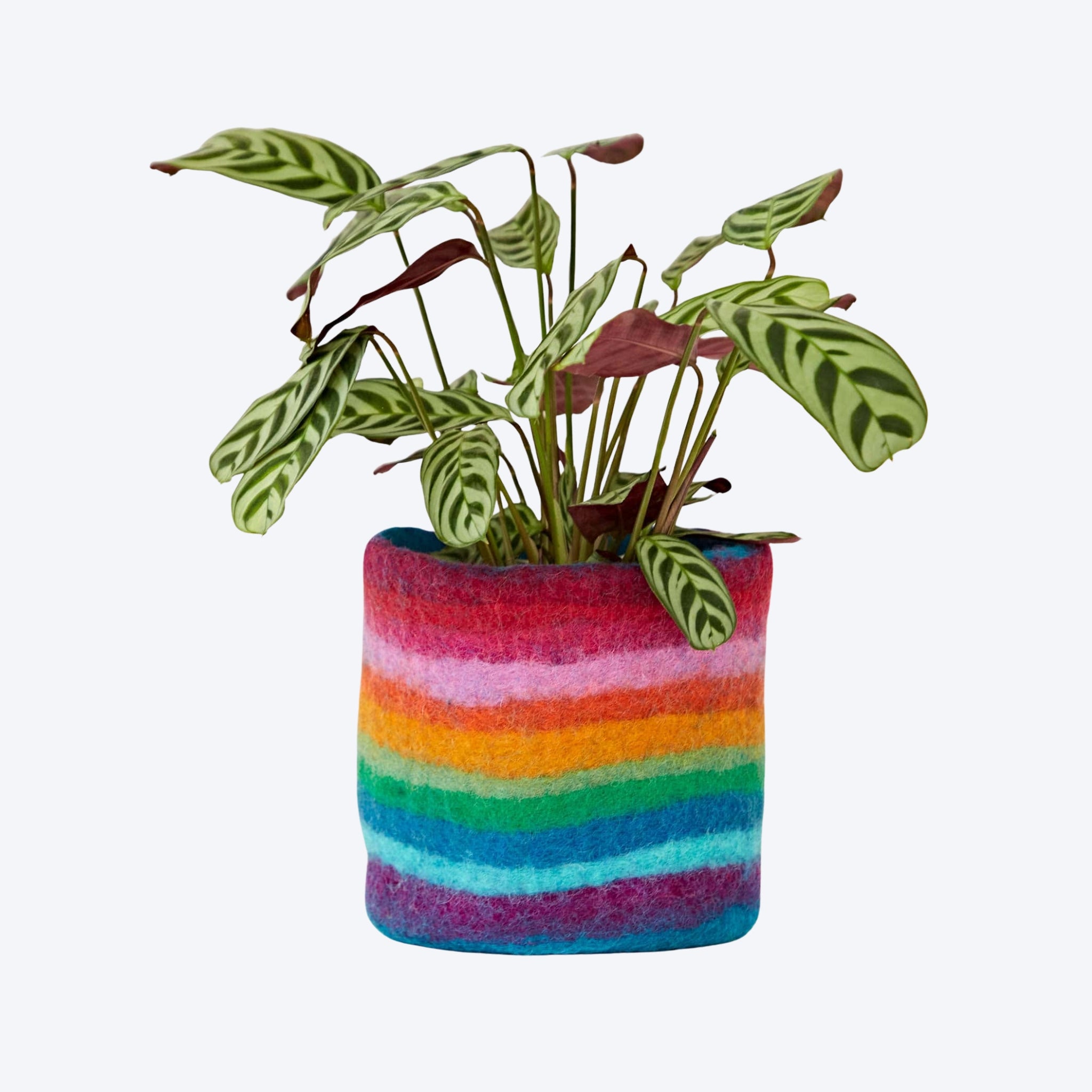 AAHA Fair Trade Felt Plant Pot