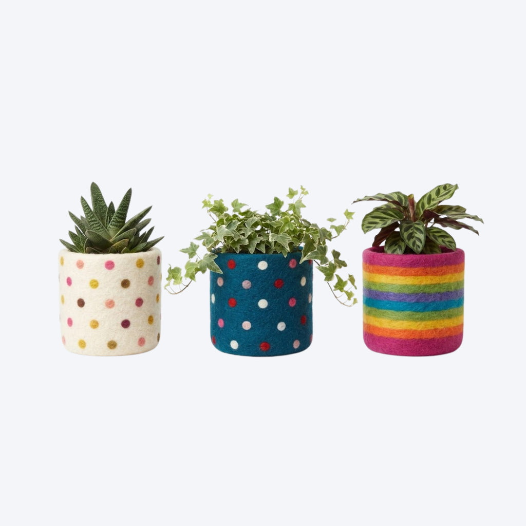 AAHA Fair Trade Felt Plant Pot
