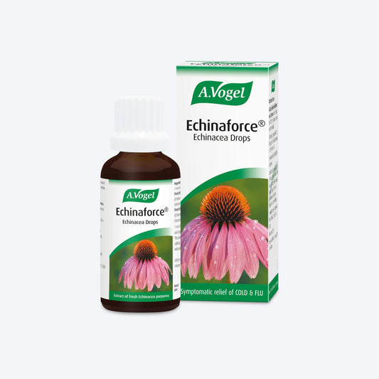A Vogel Echinaforce Echinacea Drops 50mls