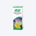A Vogel Viola TriColor Wild Pansy Drops