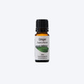 Amour Natural Essential Oils Ginger 10ml