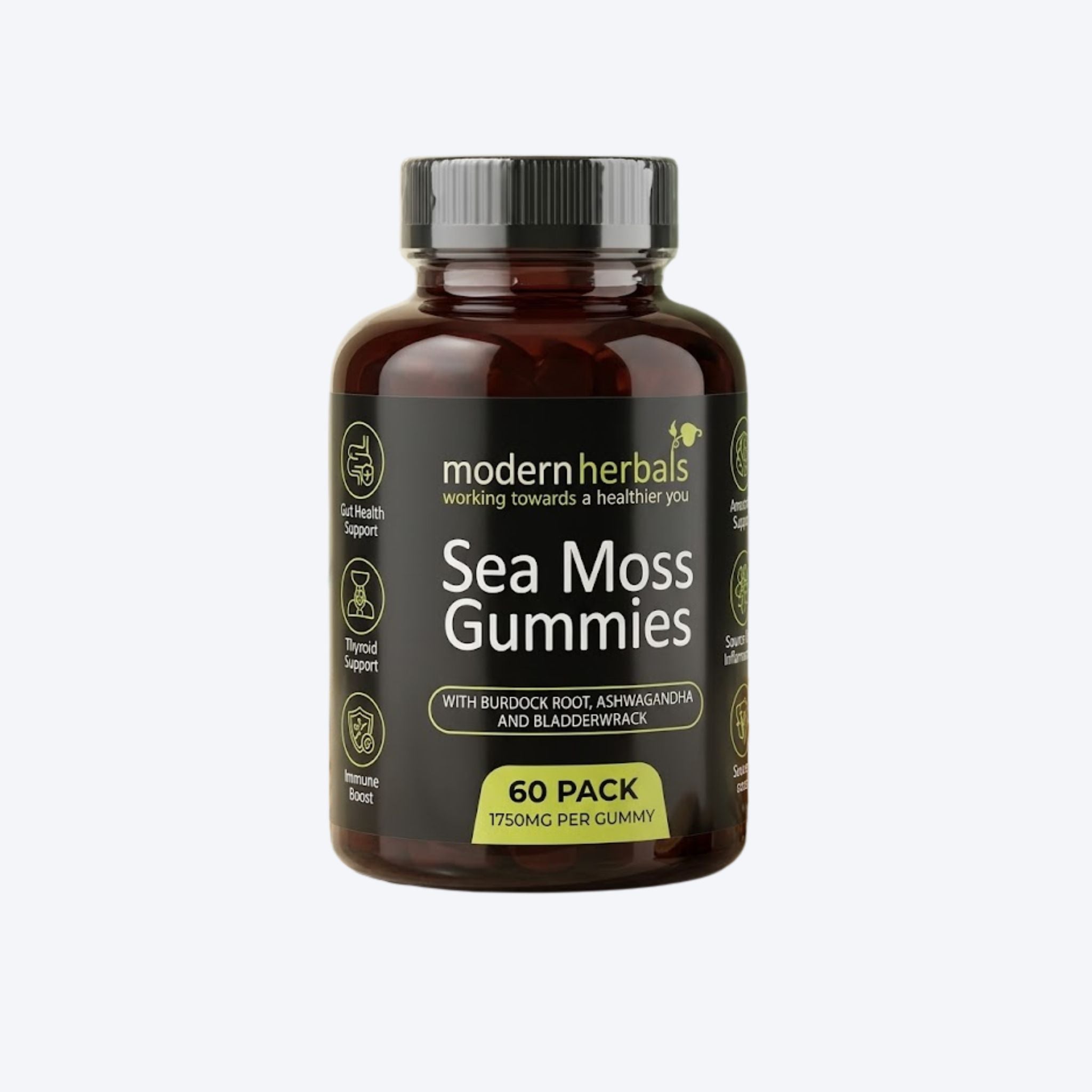 Modern Herbals Sea Moss Gummies x60