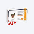 Pharma Nord Bio Active Omega 7 Sea Buckthorn Oil x60 Capsules
