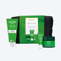 Weleda Skin Food The Face Care Edit Gift Set