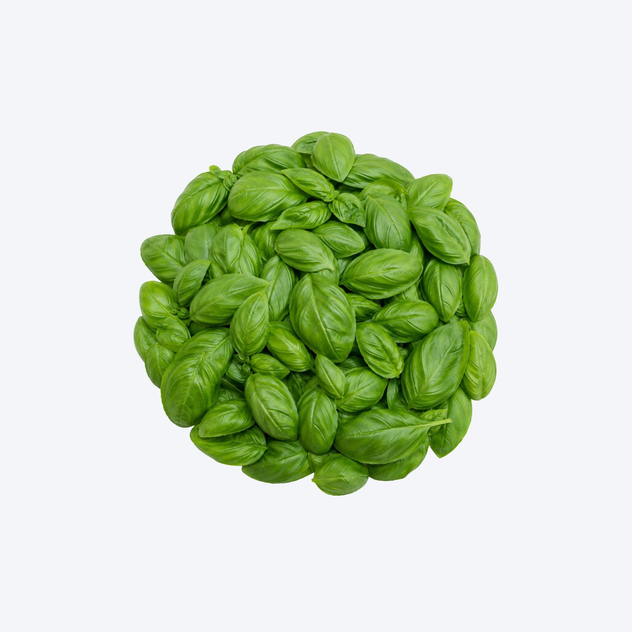 Weigh - Organic Basil (30g)