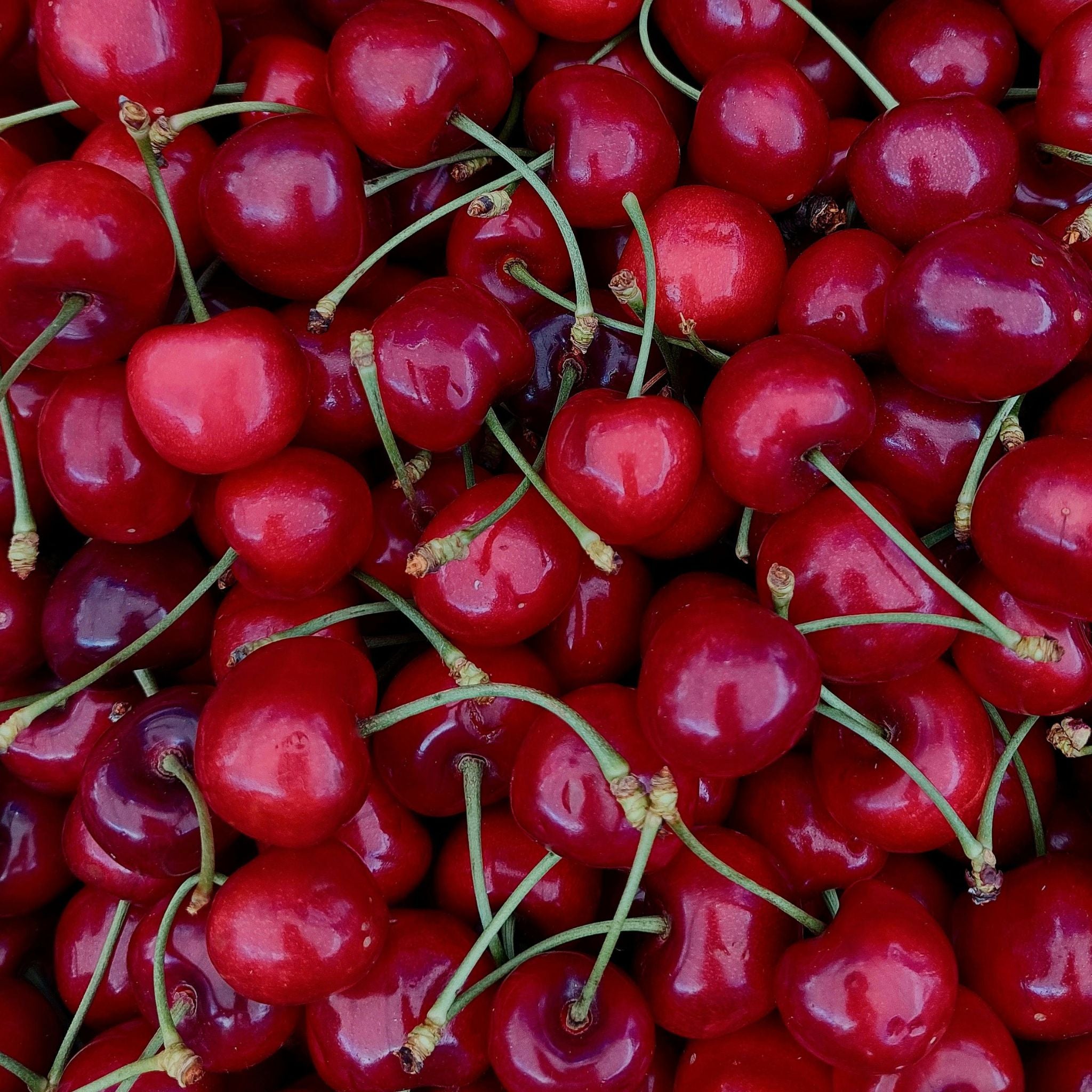 Weigh - Natural Dried Cherries (100g)