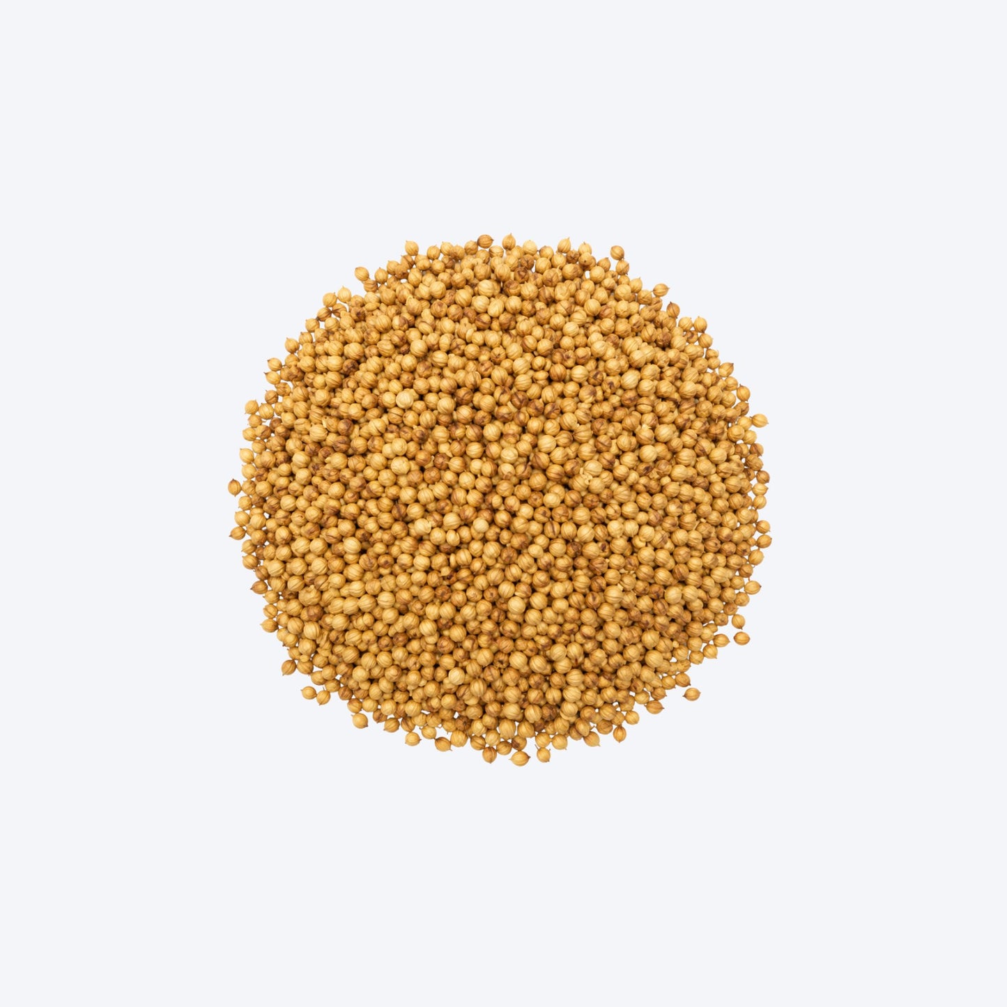 Weigh - Corriander Leaves (30g)