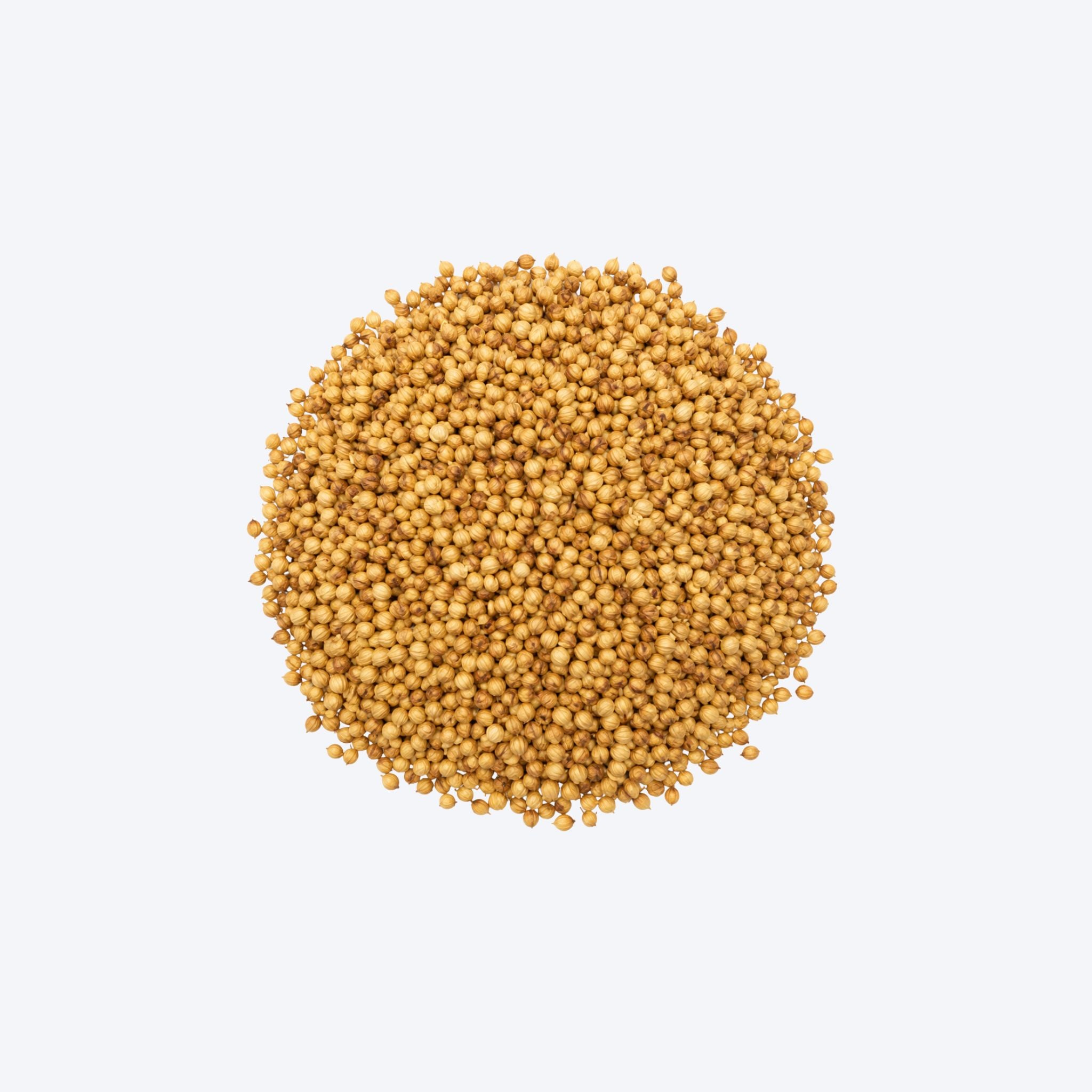 Weigh - Corriander Leaves (30g)