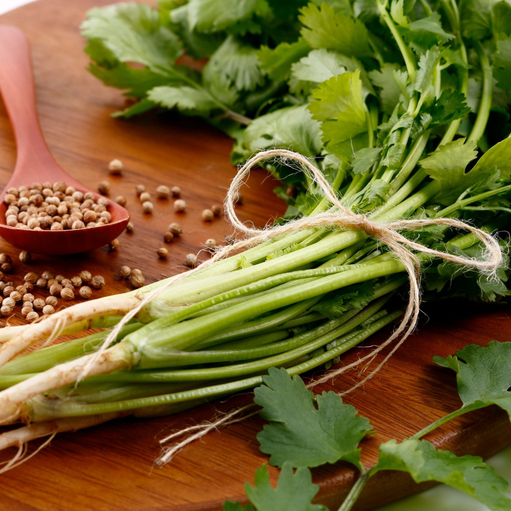 Weigh - Organic Coriander Seeds (30g)