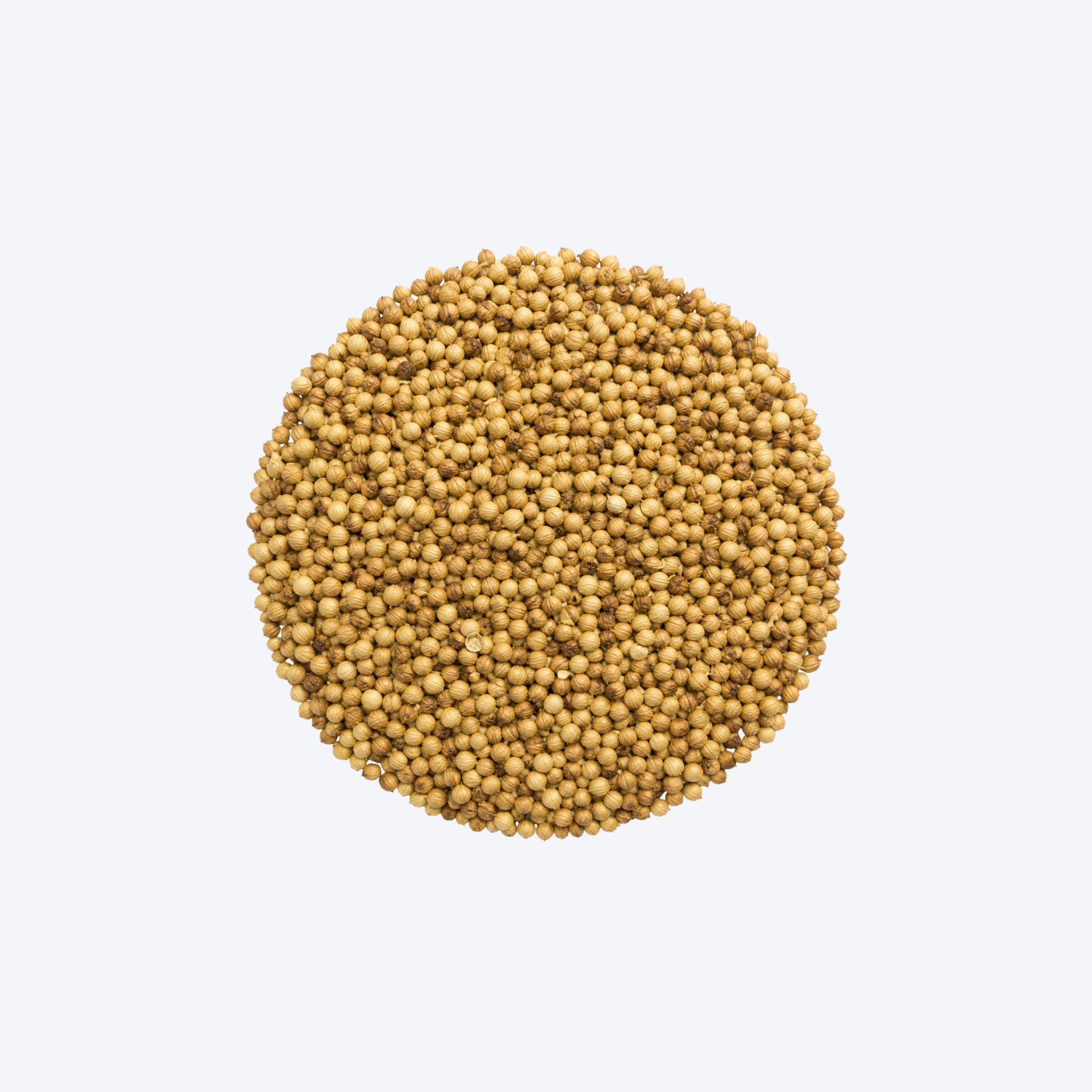 Weigh - Organic Coriander Seeds (30g)
