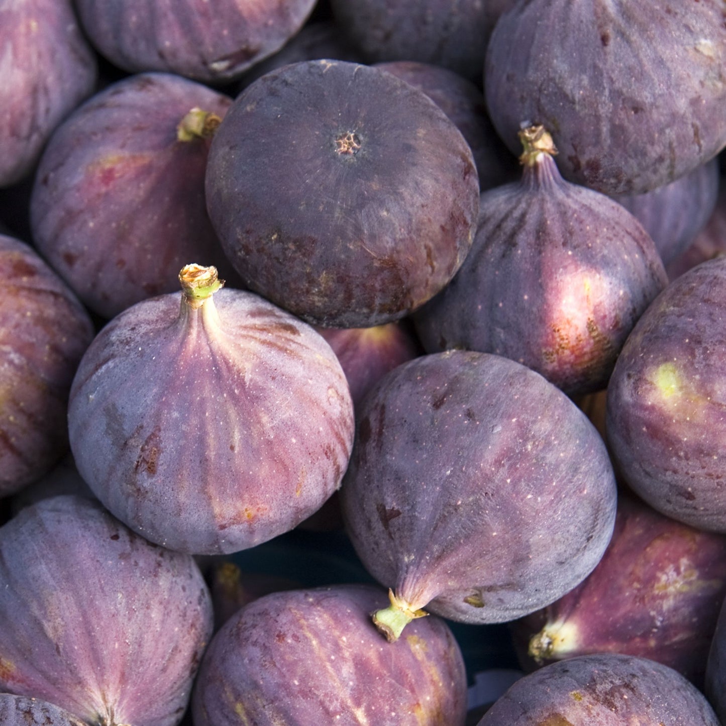 Weigh - Dried Organic Figs (100g)