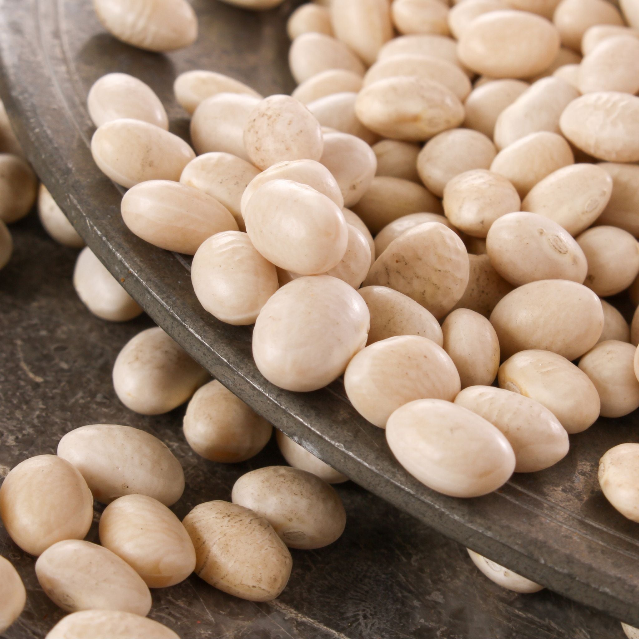 Weigh - Organic Haricot (100g)