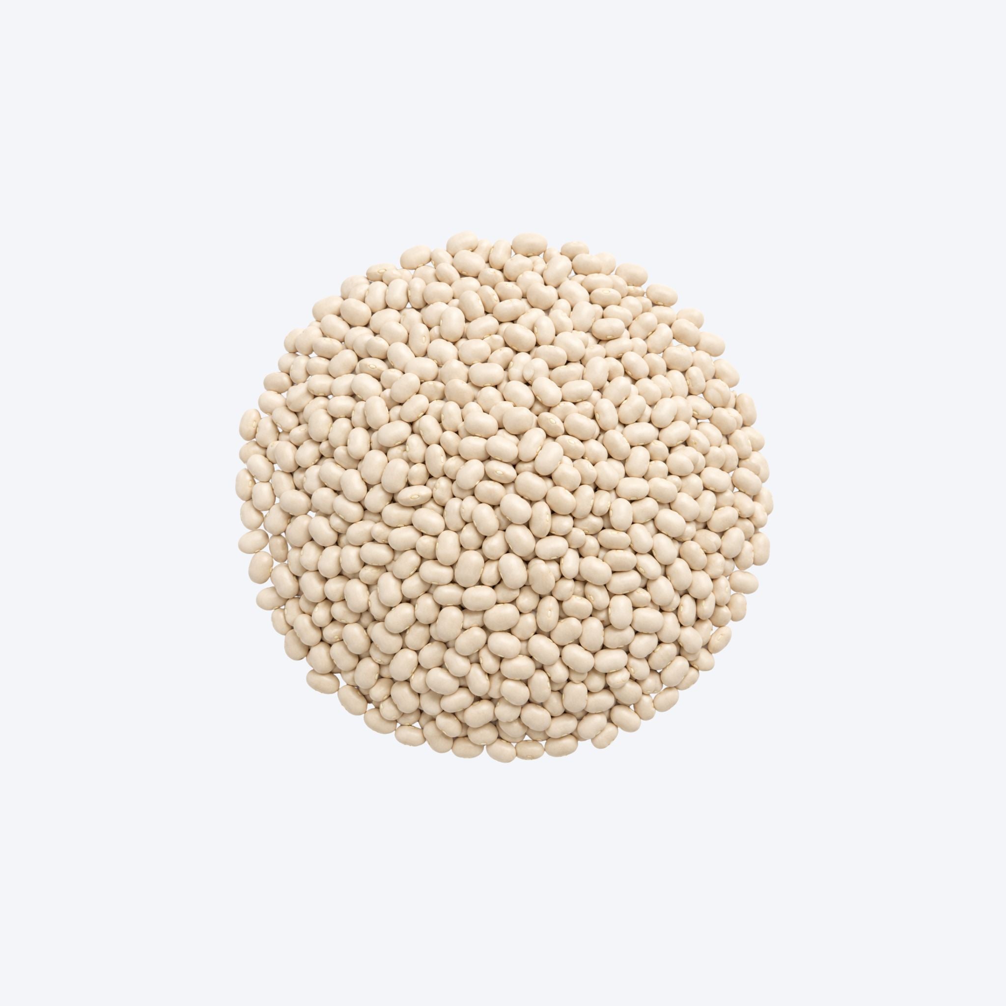 Weigh - Organic Haricot (100g)