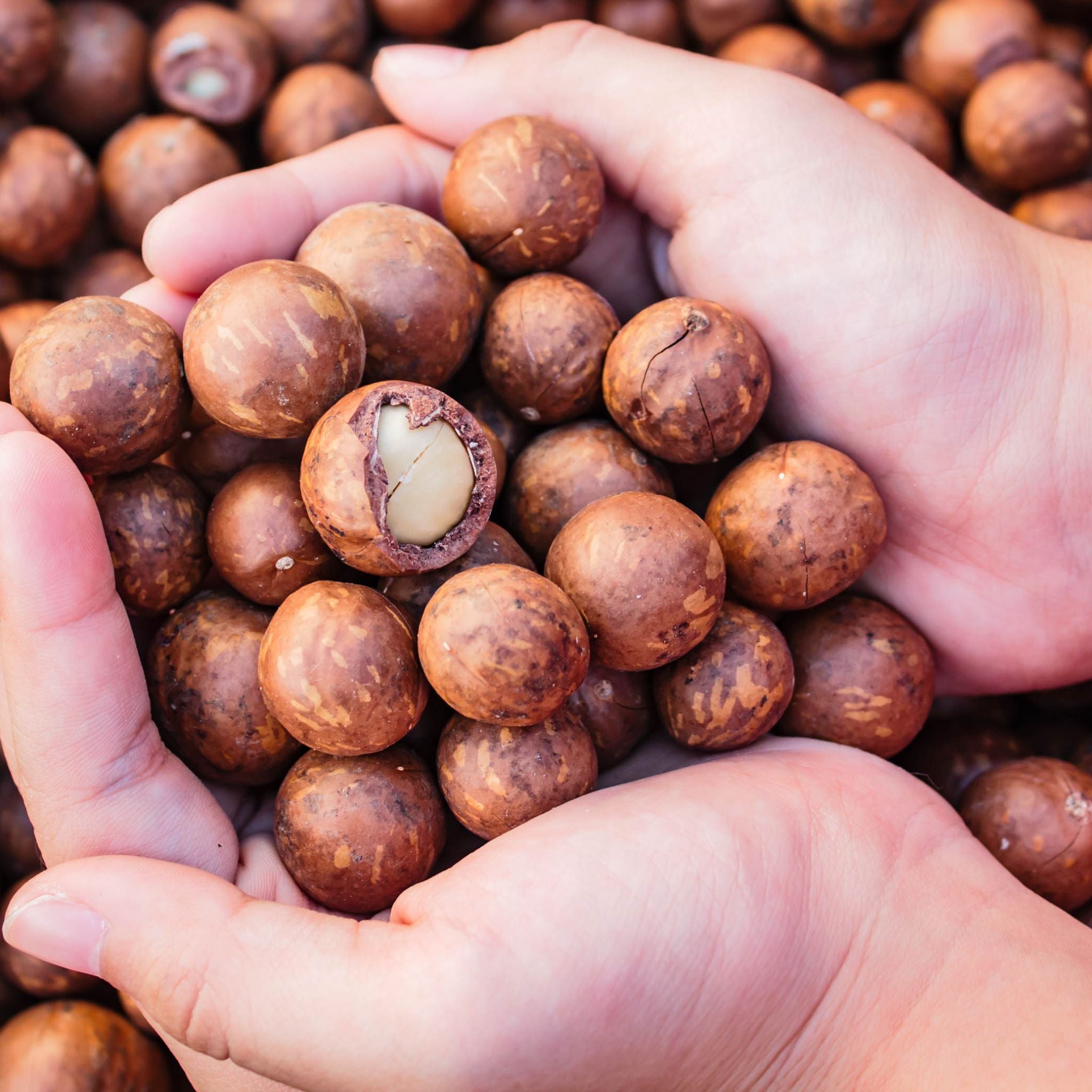 Weigh - Organic Macadamia Nuts (100g)