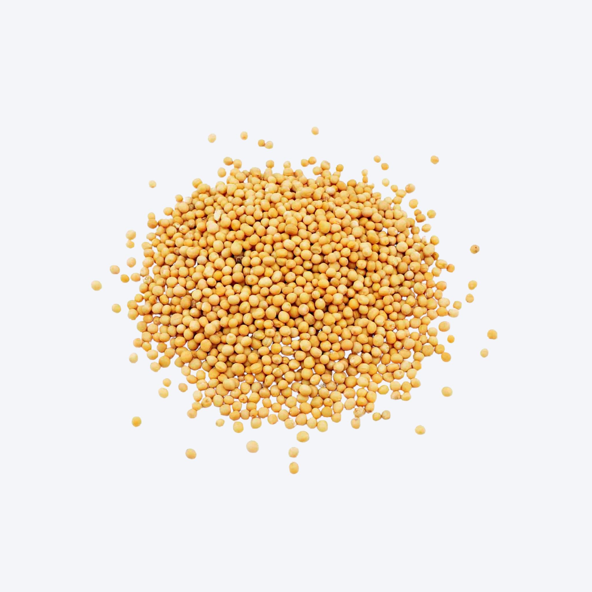 Weigh - Mustard Seeds (100g)