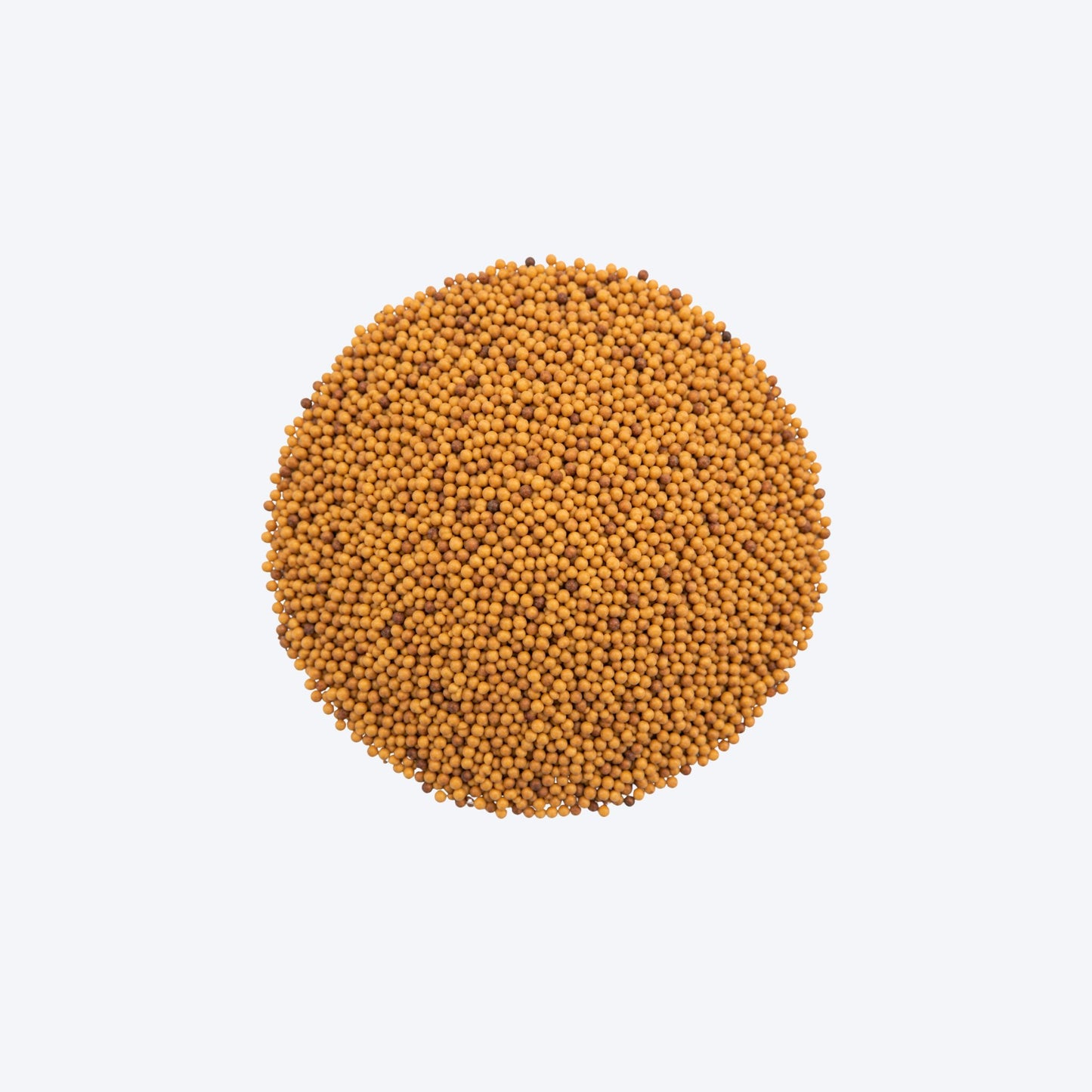 Weigh - Yellow Mustard Seeds (30g)