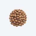 Weigh - Whole Nutmeg (30g)
