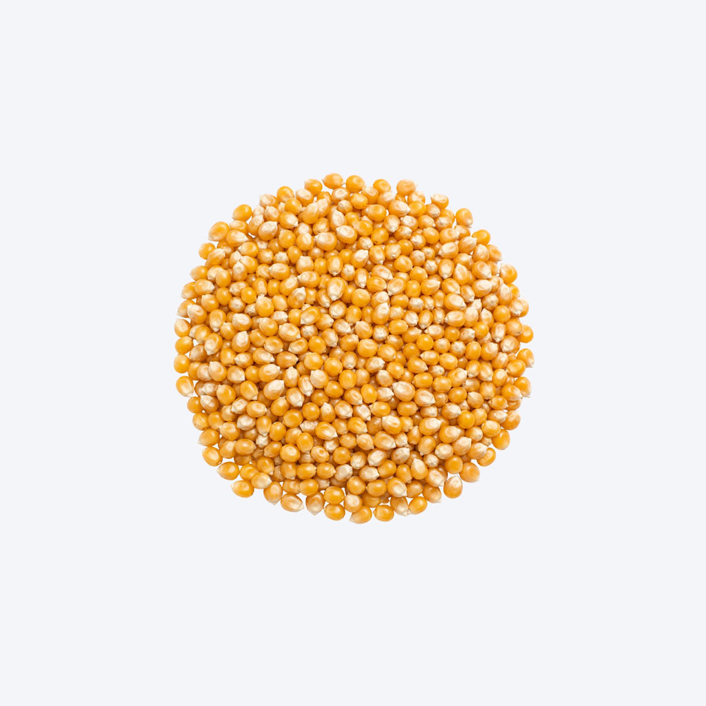 Weigh - Organic Popping Corn (100g)