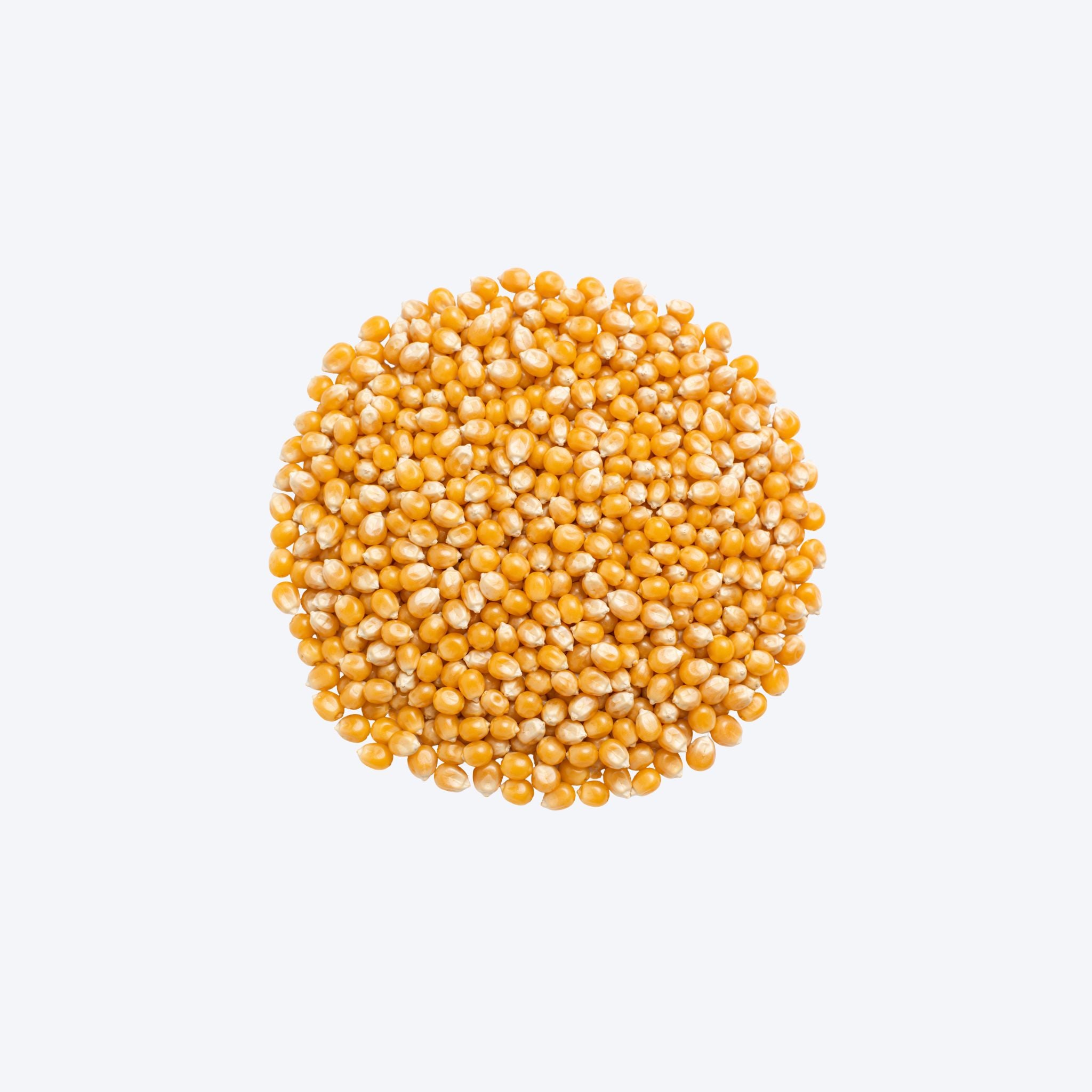 Weigh - Organic Popping Corn (100g)