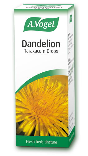 A Vogel Dandelion Taraxacum Drops