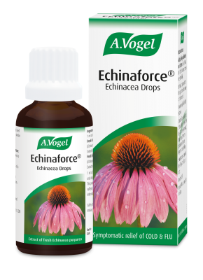 A Vogel Echinaforce Echinacea Drops 50mls