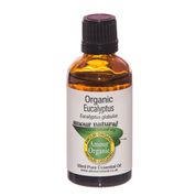 Amour Natural Organic Oil Eucalyptus 50ml
